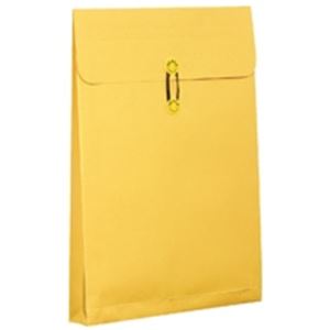 (業務用10セット) 高春堂 カーデックス 132 マチ紐付 A3 10枚