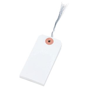 （まとめ） 大明商事 針金荷札 4号 43×90mm HN4-100 1パック（100枚） 【×20セット】