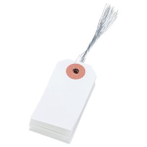 （まとめ） 大明商事 針金荷札 6号 30×60mm HN6-100 1パック（100枚） 【×20セット】