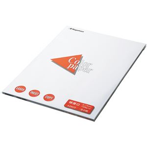 （まとめ） 長門屋商店 Color Paper A3 特厚口 白 ナ-1401V 1冊（100枚） 【×4セット】