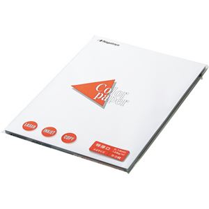 （まとめ） 長門屋商店 Color Paper A4 特厚口 白 ナ-3401V 1冊（100枚） 【×5セット】