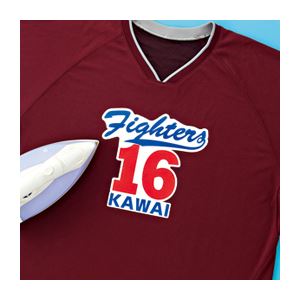 (まとめ)サンワサプライ インクジェット用化繊布用アイロンプリント紙 JP-TPRTENA6【×10セット】