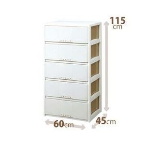 ルームケース/多目的収納ケース 【5段/カプチーノ】 幅60cm×奥行45cm 『プロフィックス』 日本製