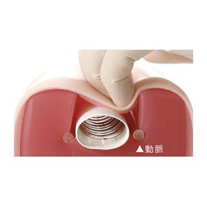 サカモト気管切開トレーナー(看護実習モデル人形) 気管/表皮//収納ケース付き M-172-0【代引不可】 - 画像 (3)