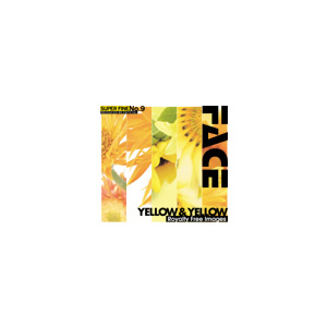 写真素材 SUPER FINE No.9 YELLOW & YELLOW （黄色の花）