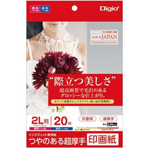 （まとめ） Digio2 インクジェットプリンタ用紙 印画紙タイプ 2L／20枚 JPSK2-2L-20【×5セット】