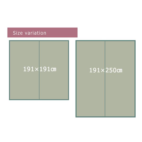 い草 ラグマット/絨毯 【エスニック柄 ブルー 約191×191cm】 防滑加工 抗菌防臭 調湿機能 〔リビング ダイニング〕【代引不可】 - 画像 (5)