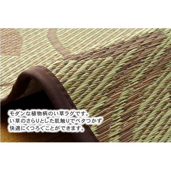 い草 ラグマット/絨毯 【リーフ柄 グリーン 約191×191cm】 正方形 防滑加工 抗菌防臭 調湿 消臭 〔リビング〕【代引不可】 - 画像 (3)