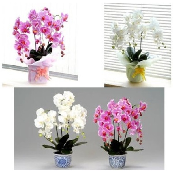 光触媒 胡蝶蘭/フェイクフラワー 【3本立て イエロー】 脱臭効果 インテリア 陶器製鉢入り - 画像 (2)