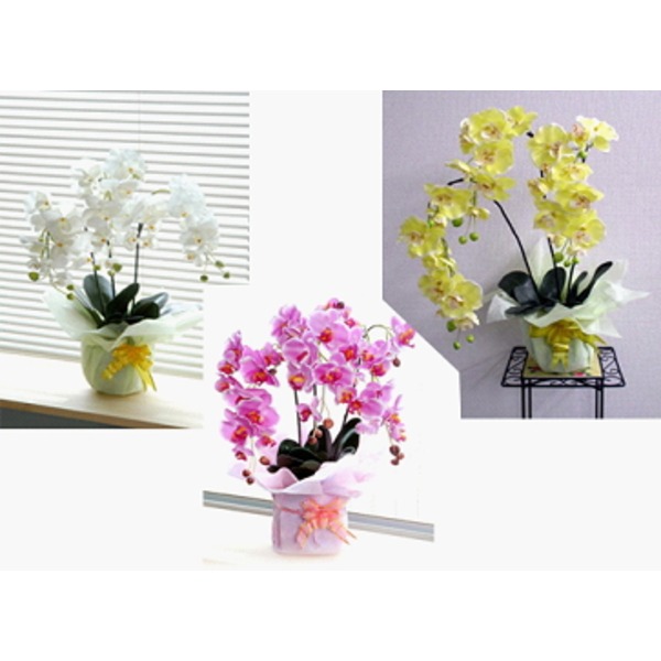 光触媒 胡蝶蘭/フェイクフラワー 【3本立て イエロー】 脱臭効果 インテリア 陶器製鉢入り - 画像 (3)