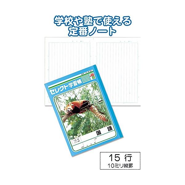 学習帳K-15-2国語 縦罫15行 【10個セット】 31-364