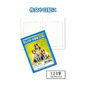 学習帳K-41さくぶん120字 【10個セット】 31-379