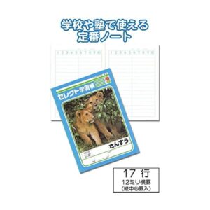 学習帳K-3さんすう17行中割12mm横罫 32-924【10個セット】