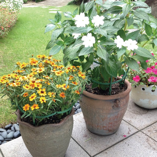 花ささえ 園芸用支柱 22本セット 固定タイプ・伸縮タイプ入り ポリプロピレン製 滑り止めデザイン 日本製 ガーデニング用品 - 画像 (6)