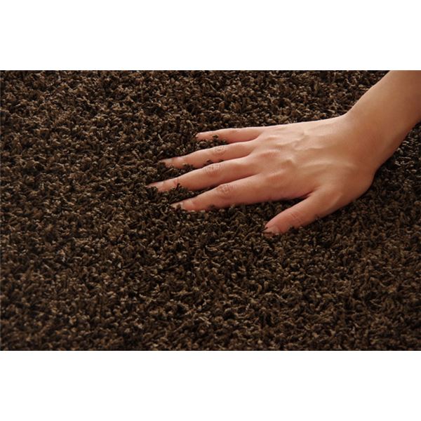 ラグマット/絨毯 【円形 丸型 無地 ブラウン 約180cm】 日本製 防炎 抗菌 防臭 防ダニ 通年使用 シャギー タフト 〔リビング〕【代引不可】 - 画像 (4)